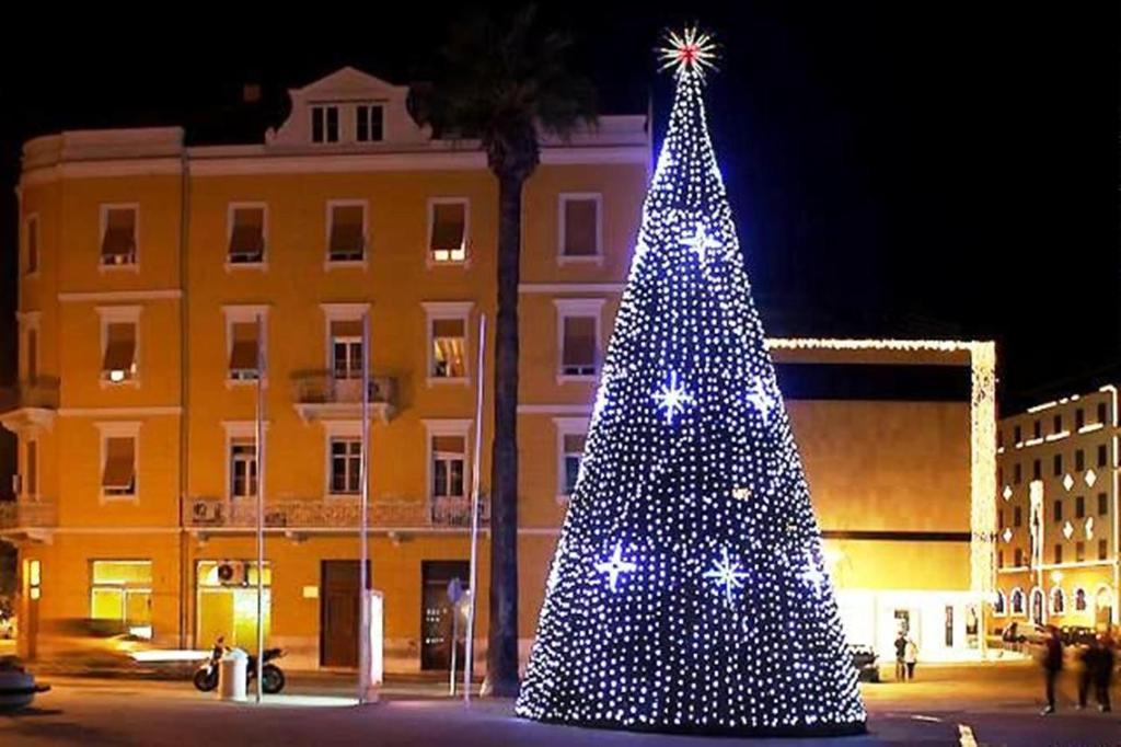 Appartement Blue Tree Split